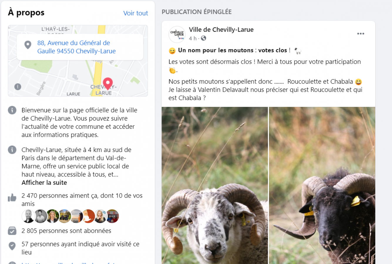 Roucoulette et Chabala, les moutons de Chevilly-Larue